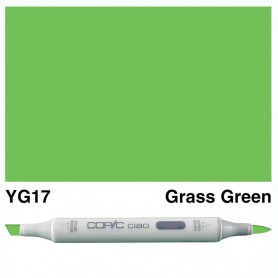 YG17 Copic Ciao Grass Green
