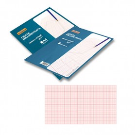Carta Millimetrata 10 fogli 80g 210x297mm