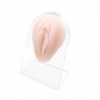 Genitale Femminile in Silicone