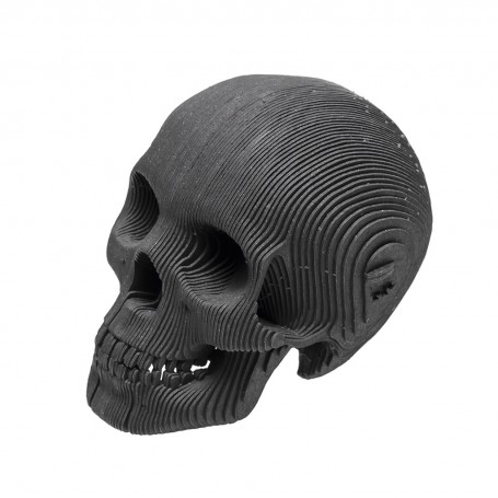 CARDBOARD - Micro VINCE Cardboard Human Skull BLACK