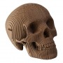 CARDBOARD - Micro VINCE Cardboard Human Skull BROWN