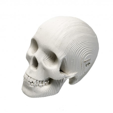 CARDBOARD - Micro VINCE Cardboard Human Skull WHITE
