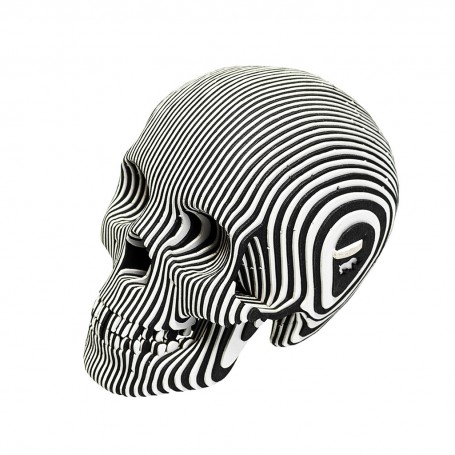 CARDBOARD - Micro VINCE Cardboard Human Skull ZEBRA