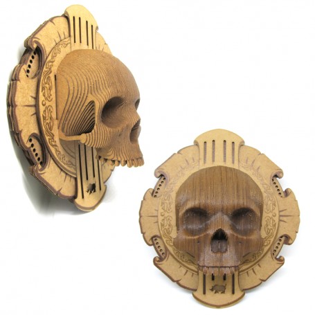 CARDBOARD - Rosette Micro VINCE Cardboard Human Skull